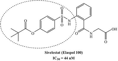 Novel Sulfonamide Analogs of Sivelestat as Potent Human Neutrophil Elastase Inhibitors